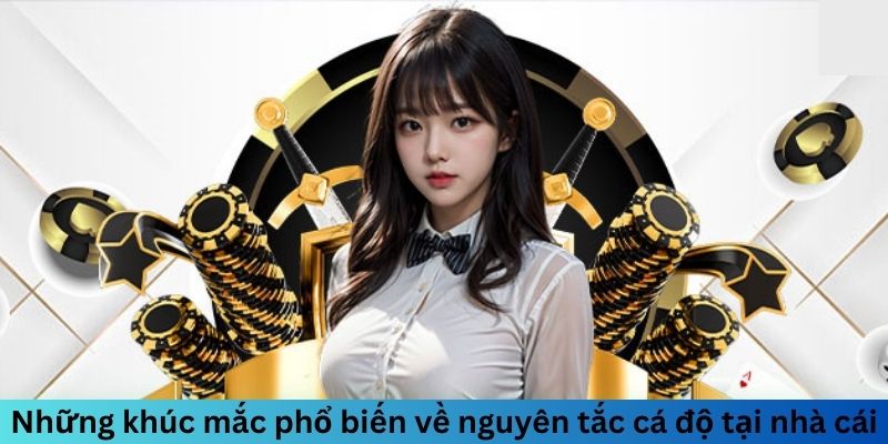 Những khúc mắc phổ biến về nguyên tắc cá độ tại nhà cái